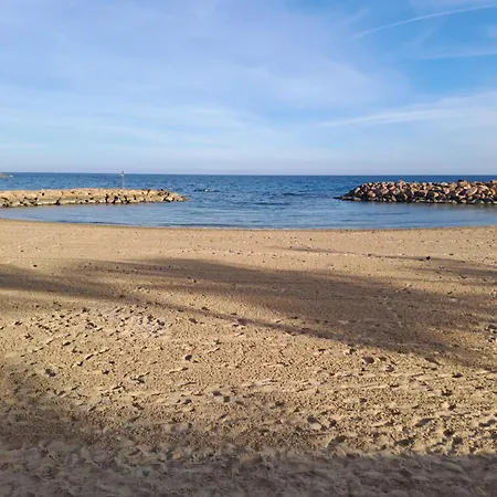 Timi Near Center And Torrevieja